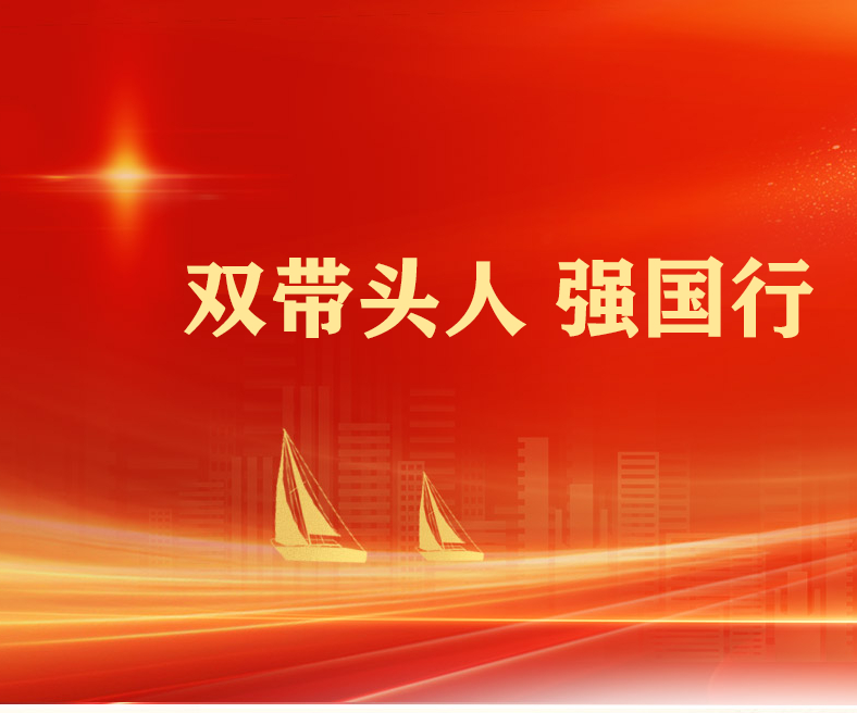 双带头人强国行